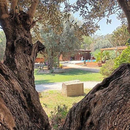 Entre Viejos Olivos Villa Benicolet Eksteriør billede