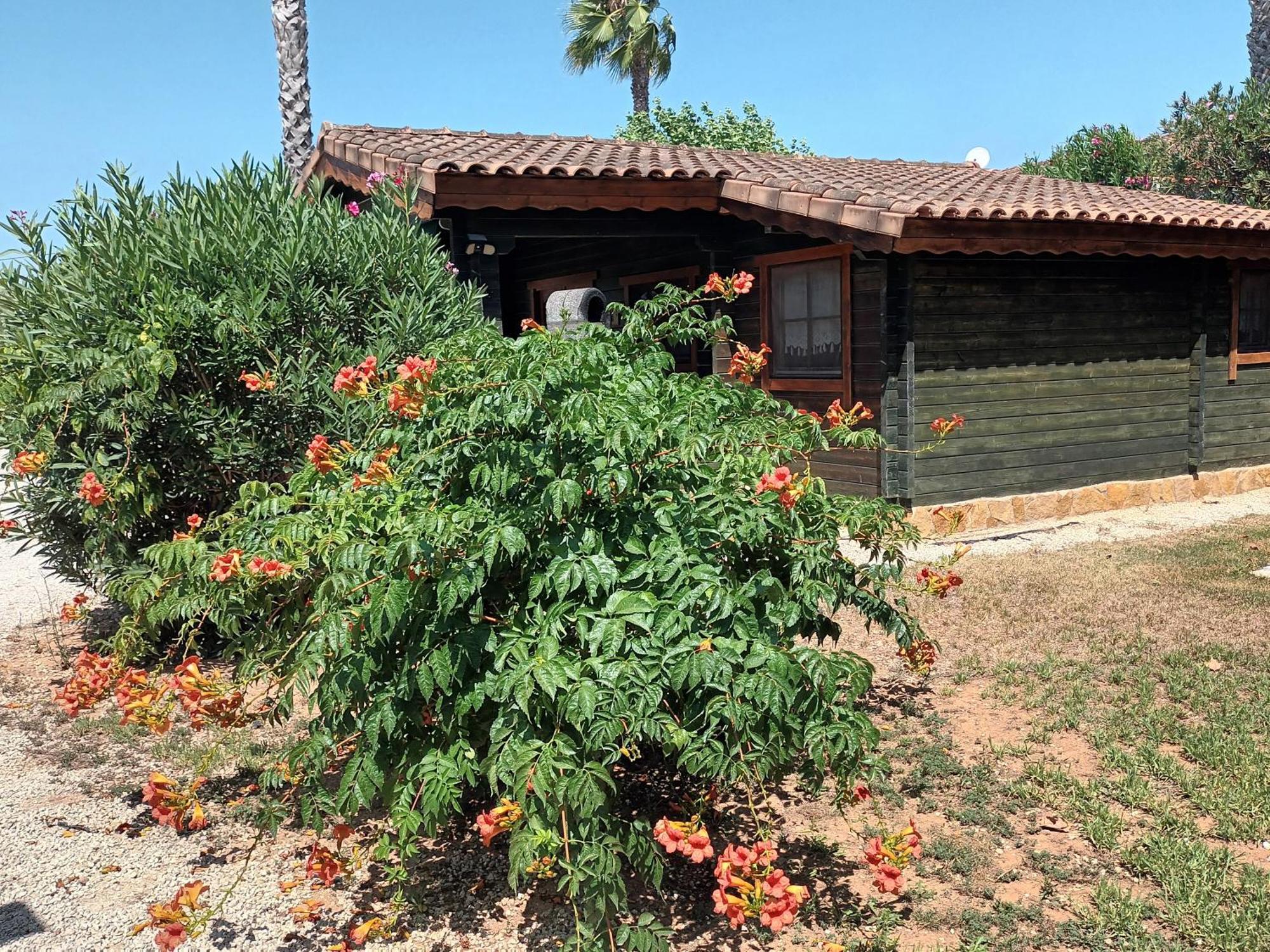 Entre Viejos Olivos Villa Benicolet Eksteriør billede