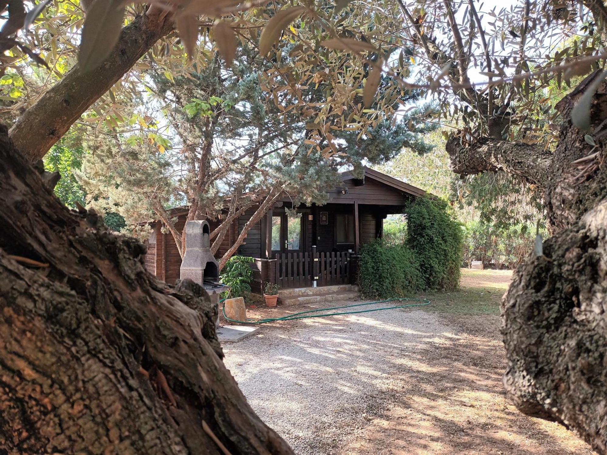 Entre Viejos Olivos Villa Benicolet Eksteriør billede