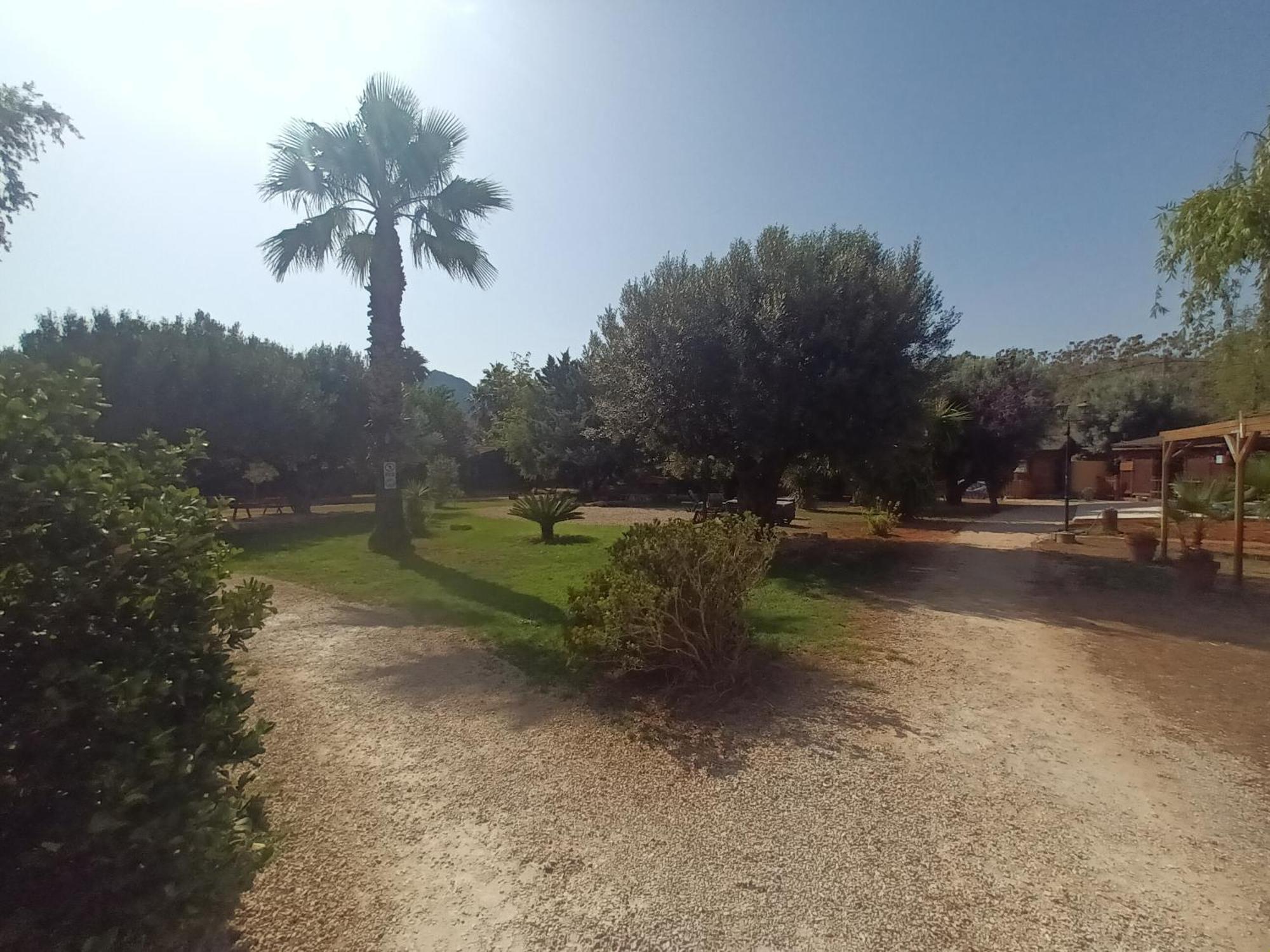 Entre Viejos Olivos Villa Benicolet Eksteriør billede