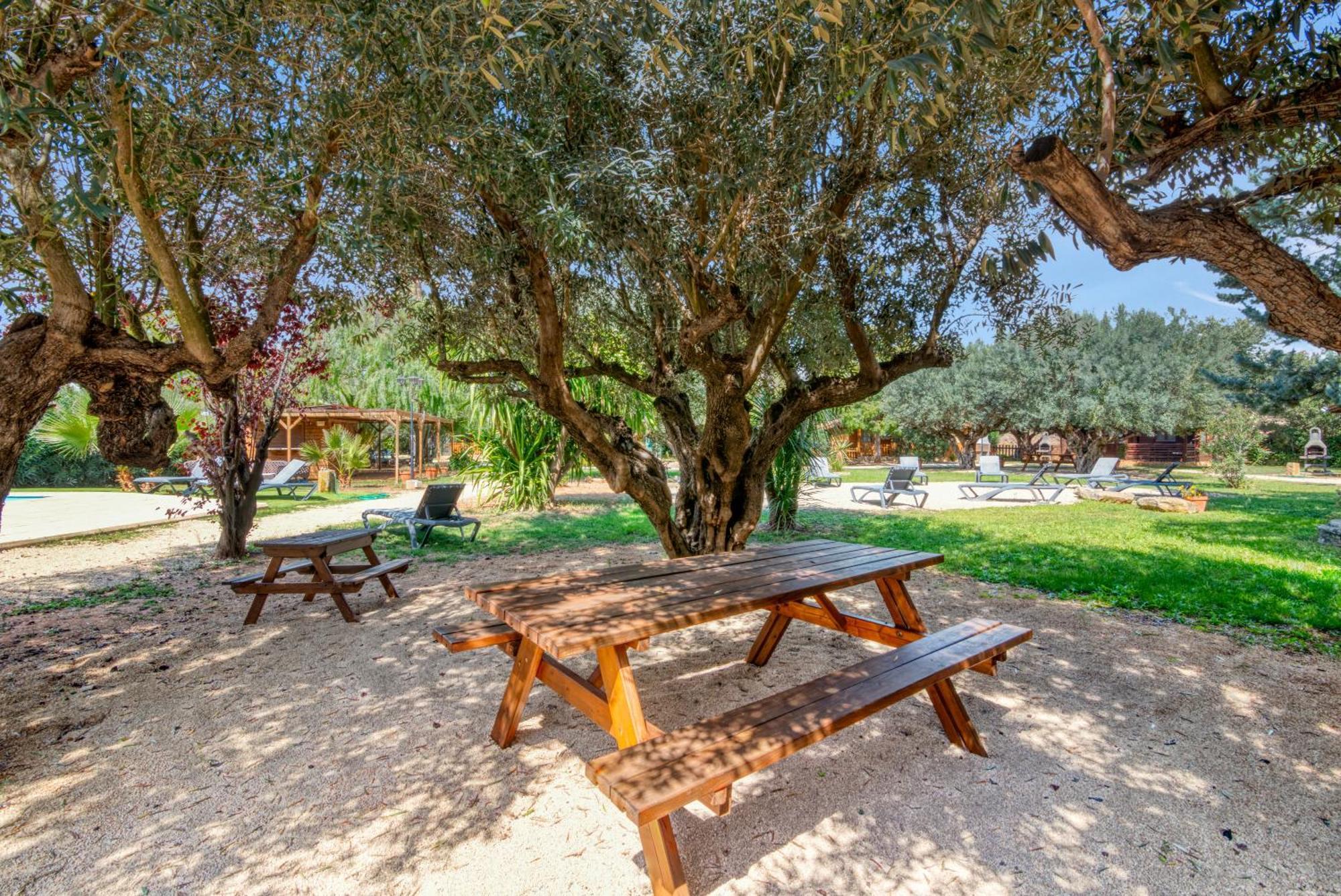 Entre Viejos Olivos Villa Benicolet Eksteriør billede